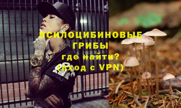 индика Пестово