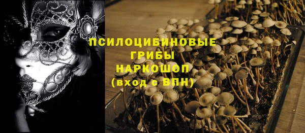 таблы Дмитриев