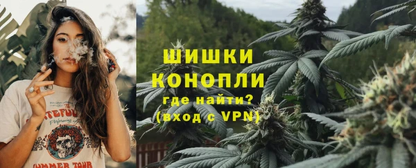 героин Бикин