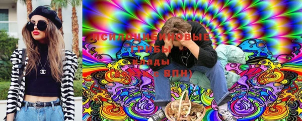 таблы Дмитриев