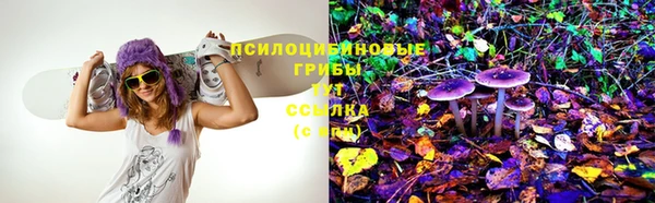 меф Дмитровск