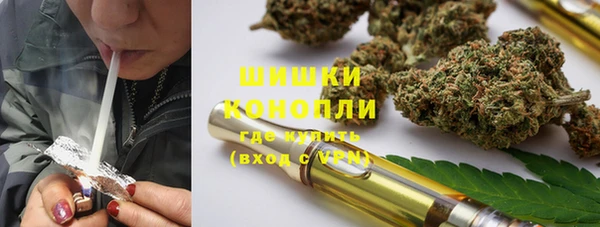 винт Дмитров