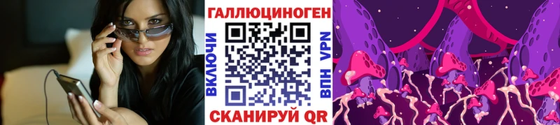 Галлюциногенные грибы Psilocybine cubensis  Калачинск 